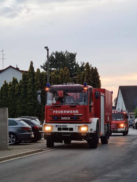 IMG-20200811-WA0003 groß.jpg